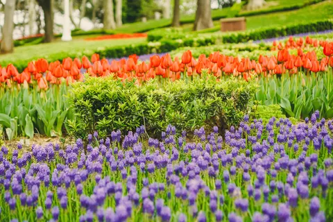 Wallpaper Taman Bunga Tulip 4K · flowers · 3840×2560