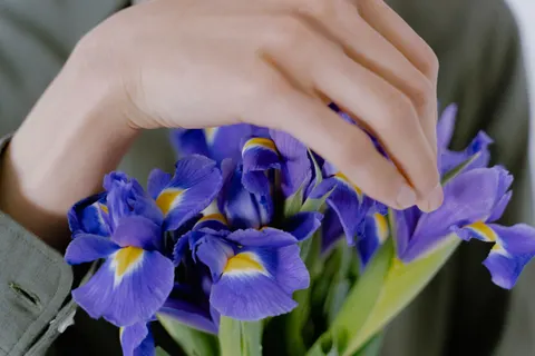 Обои Ирис 4K · flowers · 3840×2560