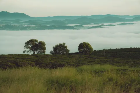 Misty Mountain Lake 4K Wallpaper · nature · 3840×2560