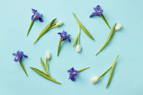 Fondo de pantalla Iris 4K · flowers · 3840×2560