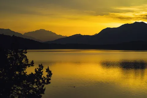 안개 낀 산호수 4K 배경화면 · nature · 3840×2560